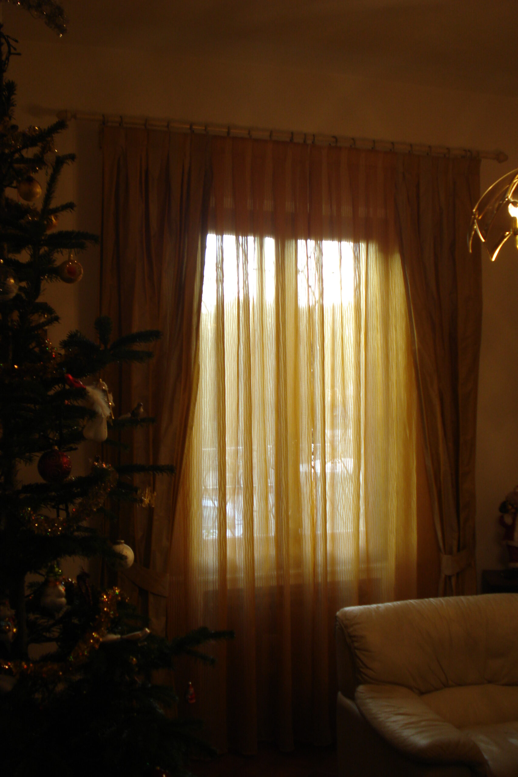 DSC00971