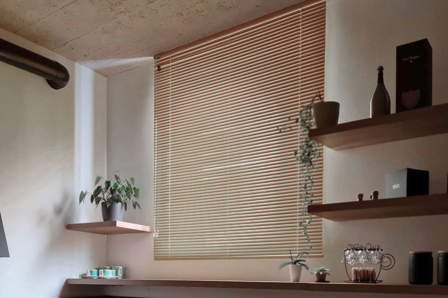 Indoor_Veni-5-VIR.jpg-1536×1024